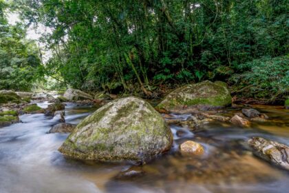 plano-busca-fortalecer-sistema-nacional-do-meio-ambiente-ate-2036