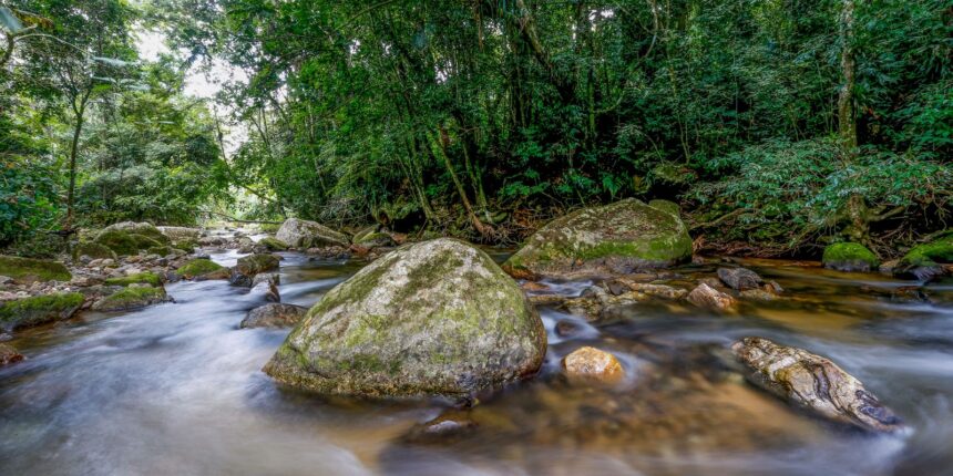 plano-busca-fortalecer-sistema-nacional-do-meio-ambiente-ate-2036