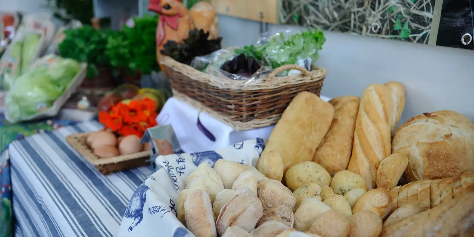 industria-de-alimentos-e-bebidas-cresceu-8%-em-2025,-diz-abia