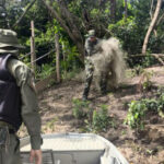 naturatins-intensifica-fiscalizacao-e-apreende-mais-de-4-mil-metros-de-redes-de-pesca-no-norte-do-estado-–-secom-to