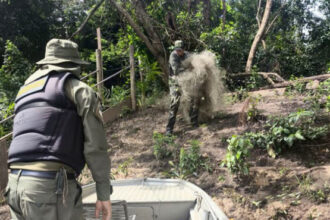 naturatins-intensifica-fiscalizacao-e-apreende-mais-de-4-mil-metros-de-redes-de-pesca-no-norte-do-estado-–-secom-to