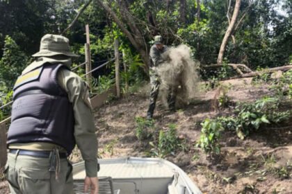naturatins-intensifica-fiscalizacao-e-apreende-mais-de-4-mil-metros-de-redes-de-pesca-no-norte-do-estado-–-secom-to