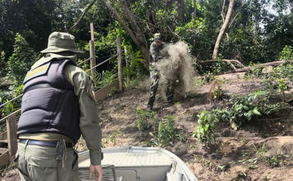 naturatins-intensifica-fiscalizacao-e-apreende-mais-de-4-mil-metros-de-redes-de-pesca-no-norte-do-estado-–-secom-to