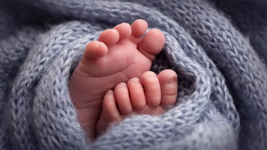 dna-nao-consegue-identificar-pai-apos-mulher-se-envolver-com-gemeos