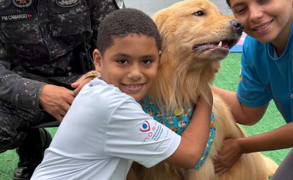 cinoterapia-na-pmto:-caes-da-comunidade-auxiliam-no-tratamento-de-criancas-com-autismo