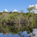 tesouro-muda-regras-de-leilao-para-projetos-sustentaveis