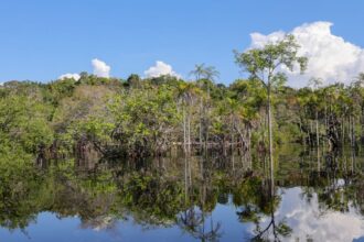 tesouro-muda-regras-de-leilao-para-projetos-sustentaveis