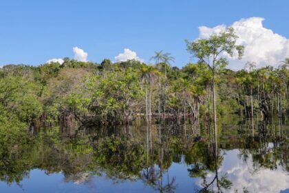 tesouro-muda-regras-de-leilao-para-projetos-sustentaveis