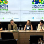 governo-do-tocantins-promove-oficina-com-foco-no-desenvolvimento-economico-sustentavel-–-secom-to