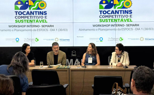 governo-do-tocantins-promove-oficina-com-foco-no-desenvolvimento-economico-sustentavel-–-secom-to