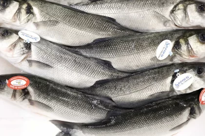 vigilancia-sanitaria-orienta-sobre-compra-de-pescado-na-semana-santa