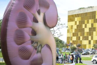dia-mundial-do-rim:-doencas-renais-sao-silenciosas-e-exigem-atencao