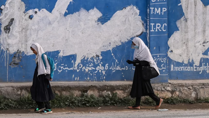 juiz-rejeita-pedido-de-divorcio-no-afeganistao:-“umas-surras-nao-matam”