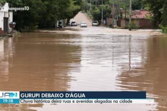 -to-de-12-de-marco-de