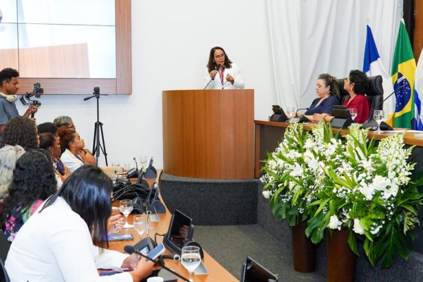 em-reuniao-sobre-violencia-contra-a-mulher,-mpto-destaca-necessidade-de-atuacao-planejada-e-integrada
