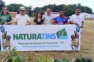 naturatins-apoia-comunidade-indigena-com-doacao-de-mudas-e-orientacoes-ambientais-na-aldeia-macauba,-em-pium-–-naturatins-to