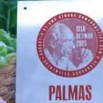 selo-betinho-2025-valida-avancos-monitorados-pelo-ministerio-publico-do-tocantins-em-palmas