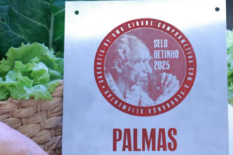 selo-betinho-2025-valida-avancos-monitorados-pelo-ministerio-publico-do-tocantins-em-palmas