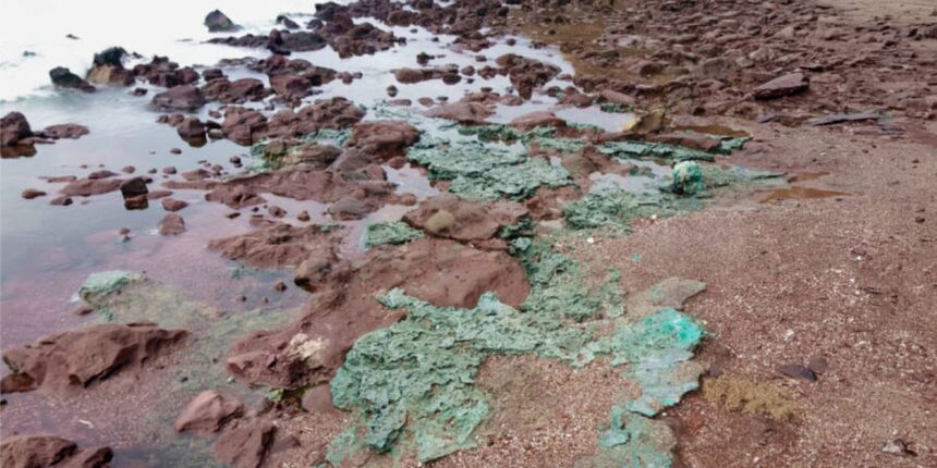 rochas-de-plastico-chegam-a-ninhos-de-tartarugas-em-ilha-brasileira