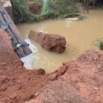 do-campo-–-to-de-domingo,-15-de-marco-de