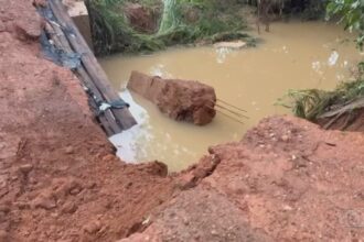 do-campo-–-to-de-domingo,-15-de-marco-de