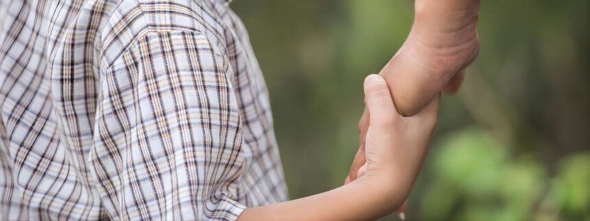 atuacao-coordenada-do-mpto-busca-garantir-servicos-de-acolhimento-em-todo-o-estado