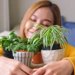 harmonia-e-muita-sorte!-a-planta-que-cada-signo-deve-ter-em-casa