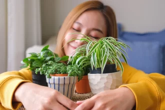 harmonia-e-muita-sorte!-a-planta-que-cada-signo-deve-ter-em-casa