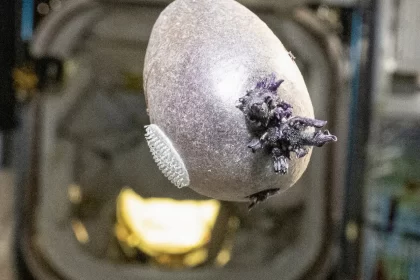 astronauta-mostra-“batata-alienigena”-no-espaco-e-viraliza