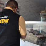 procon-tocantins-encontra-variacao-de-ate-105%-nos-precos-dos-pescados-em-palmas-–-procon-to