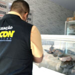 procon-tocantins-encontra-variacao-de-ate-105%-nos-precos-dos-pescados-em-palmas-–-secom-to