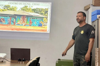 naturatins-promove-capacitacao-sobre-manejo-de-fauna-silvestre-no-municipio-de-peixe-–-secom-to