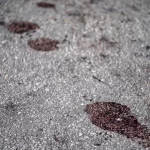 mulher-morre-atropelada-por-caminhao-que-prestava-servico-para-a-sabesp