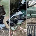 operacao-contra-o-trafico-internacional-no-to-prende-tres-e-apreende-cocaina-escondida-em-buraco-na-mata