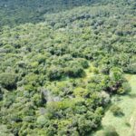 veja-como-e-a-area-onde-mecanico-agricola-ficou-20-dias-desaparecido-no-tocantins