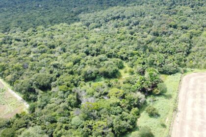 veja-como-e-a-area-onde-mecanico-agricola-ficou-20-dias-desaparecido-no-tocantins