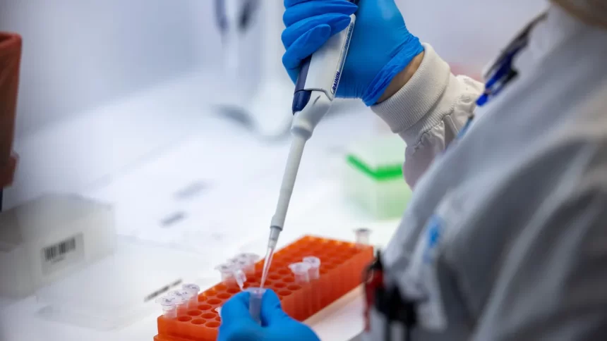 variante-ba3.2-da-covid-oferece-baixo-risco,-mas-vigilancia-deve-continuar,-dizem-especialistas