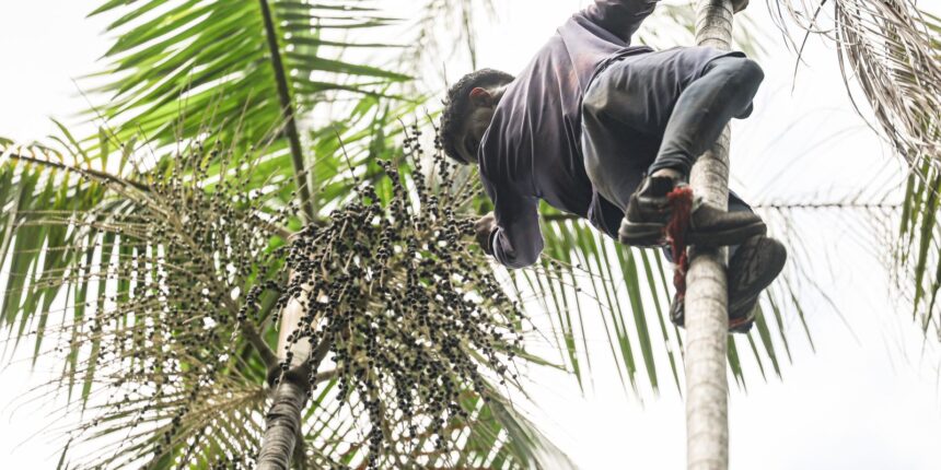 governo-investe-r$-132-milhoes-em-regularizacao-fundiaria-na-amazonia