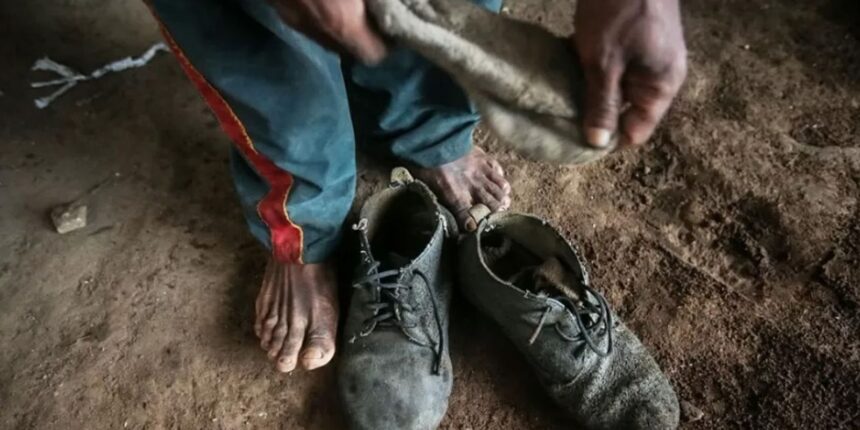 amado-batista-e-byd-sao-incluidos-em-lista-de-trabalho-escravo-do-mte