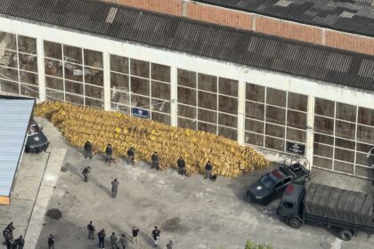 pm-apreende-quase-50-toneladas-de-maconha-na-mare-com-auxilio-de-caes