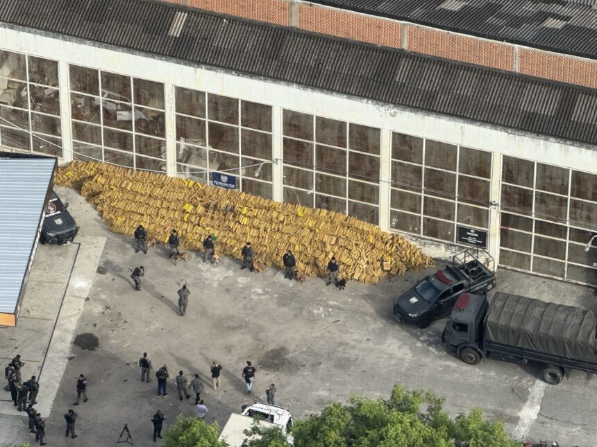 pm-apreende-quase-50-toneladas-de-maconha-na-mare-com-auxilio-de-caes