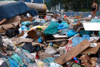 estudo-quer-mostrar-potencial-de-aproveitamento-de-residuos-no-pais