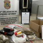 em-pedro-afonso,-policia-civil-incinera-drogas-apreendidas-em-operacoes-realizadas-na-cidade
-–-ssp-to