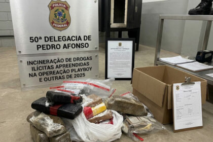 em-pedro-afonso,-policia-civil-incinera-drogas-apreendidas-em-operacoes-realizadas-na-cidade
-–-ssp-to