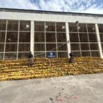 chefe-do-trafico-em-favela-onde-foram-apreendidas-48-toneladas-de-maconha,-motoboy-tem-mais-de-300-anotacoes-criminais