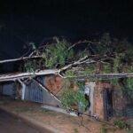 chuva-forte-durante-a-madrugada-causas-estragos-em-palmas