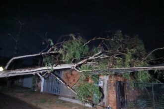 chuva-forte-durante-a-madrugada-causas-estragos-em-palmas