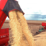 governo-do-tocantins-destaca-avanco-do-agro-com-projecao-da-safra-2025/2026-de-quase-10-milhoes-de-toneladas-de-graos-–-secom-to