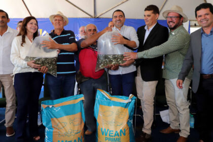 governo-do-tocantins-entrega-600-mil-alevinos-do-programa-mais-peixe-to-e-reforca-assistencia-tecnica-a-produtores-rurais-
-–-secom-to