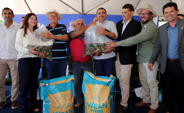 governo-do-tocantins-entrega-600-mil-alevinos-do-programa-mais-peixe-to-e-reforca-assistencia-tecnica-a-produtores-rurais-
-–-secom-to